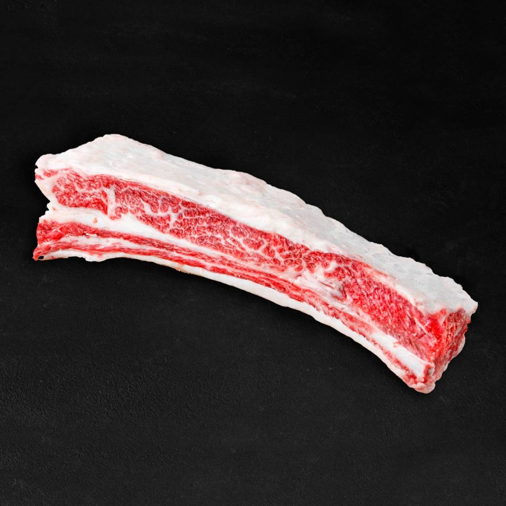 Fifth Rib (vijfde rib) Miguel Vergara